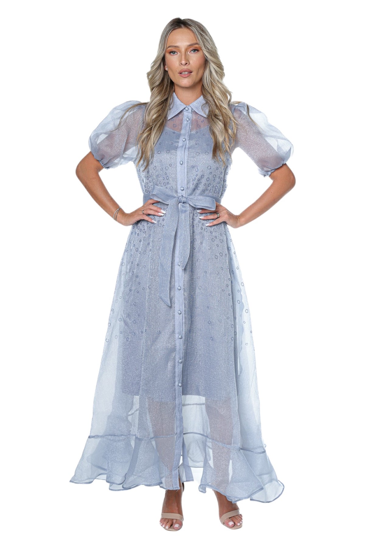 Rochie Lunga Din Organza Cu Aplicatii