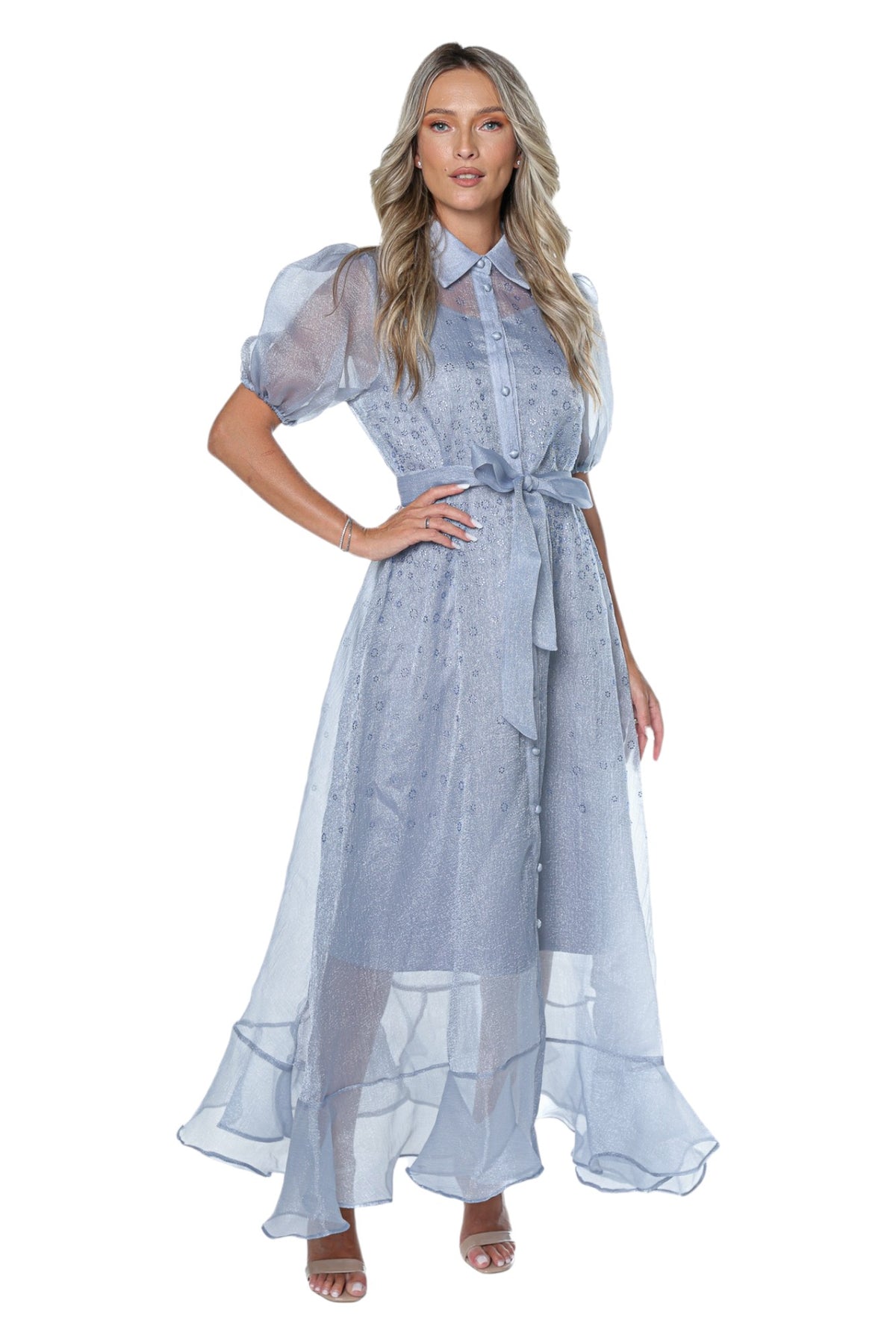 Rochie Lunga Din Organza Cu Aplicatii